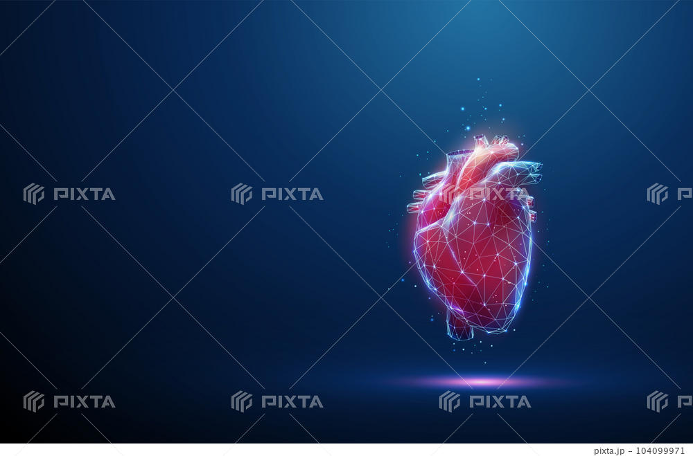 【Qs】小児先天性心疾患の術式決定支援（ped UT-Heart）