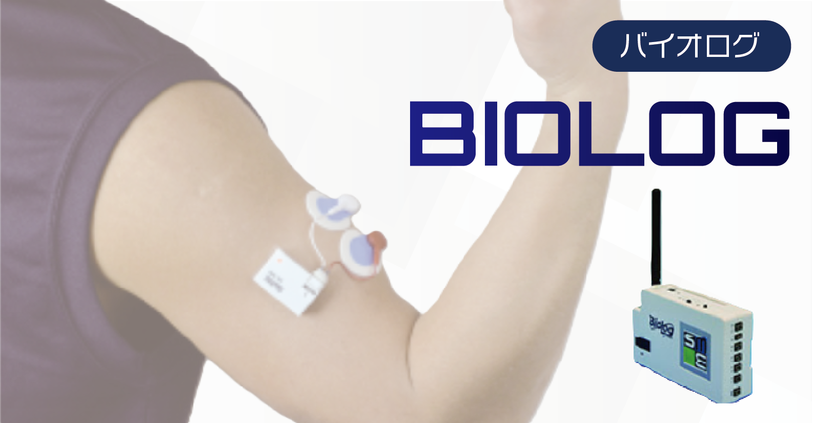 【Qs】バイオログ（仕入れ製品）