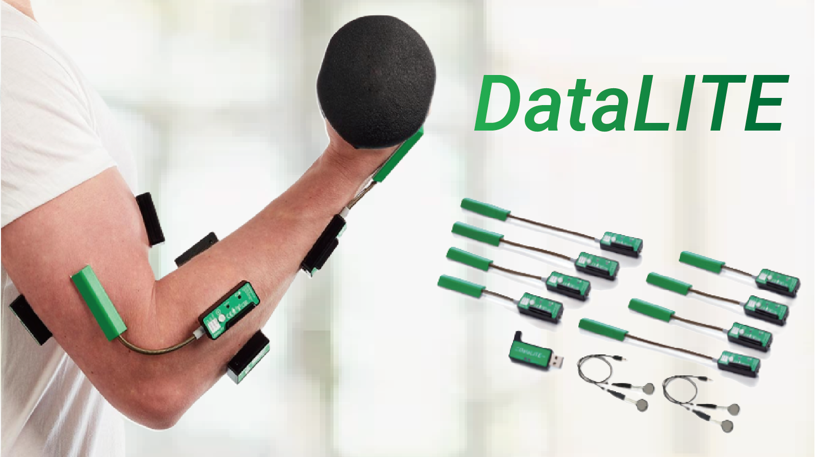 【Qs】DataLITE（仕入れ製品）